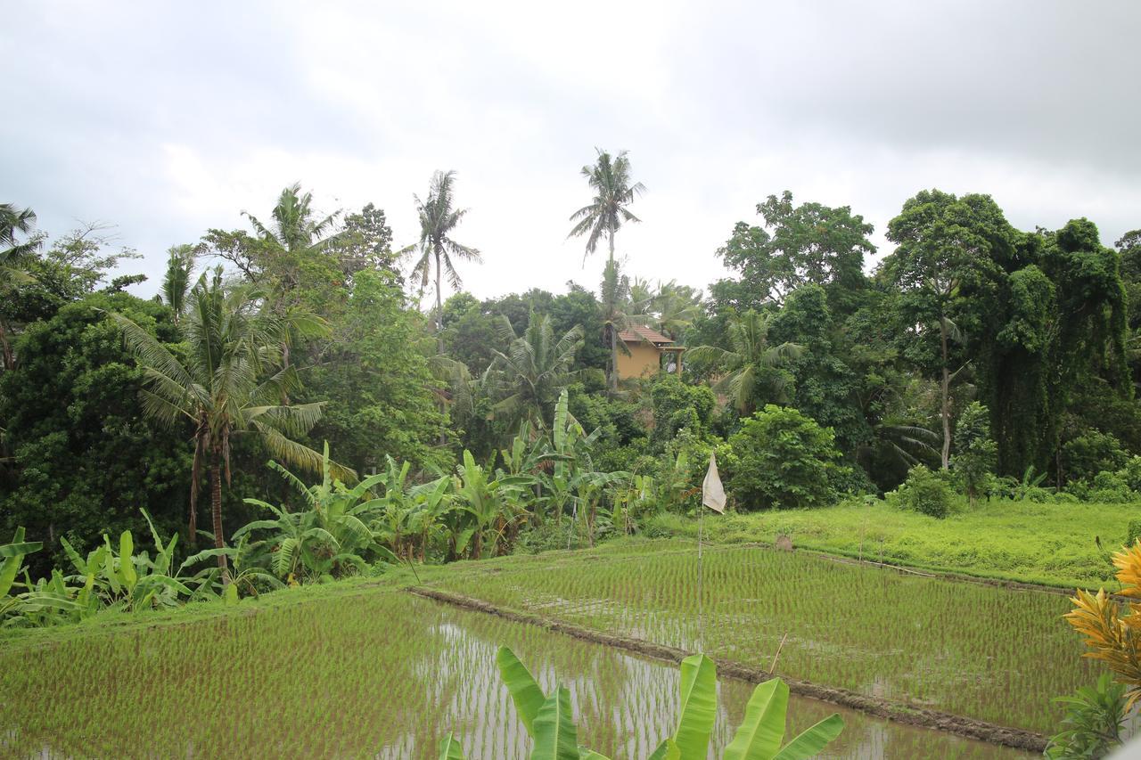 Ubud Sensasi Bungalow Екстер'єр фото